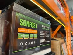 New Sunfost 12.8V 100Ah Lifepo4 Lethium Battery/Lithium Ion Batteries