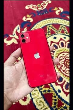 I phone 11 Red colour