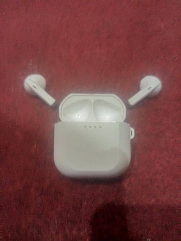 RoHS earbuds 0