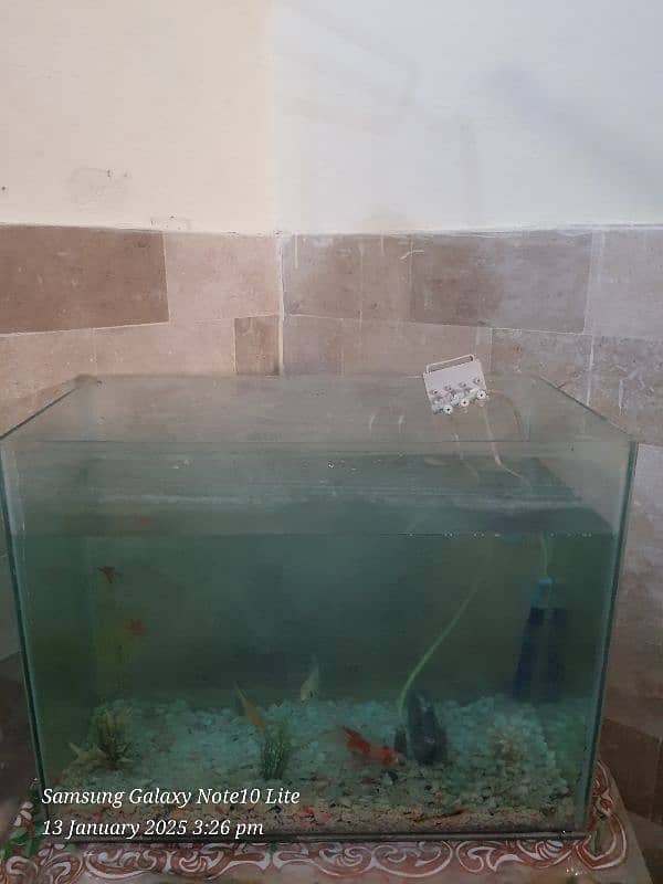 Fish Accuarrium For Sale 0