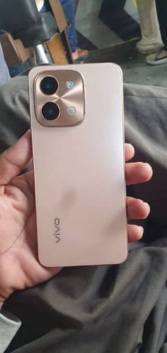 vivo