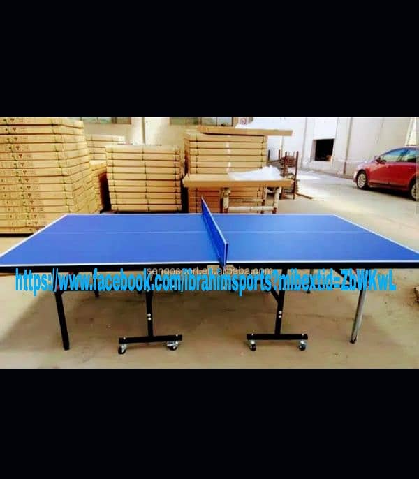 Table Tennis Table 0