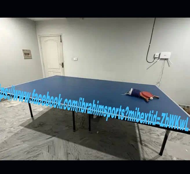 Table Tennis Table 2