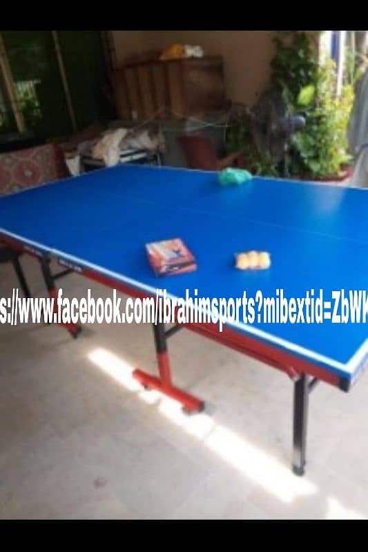 Table Tennis Table 6