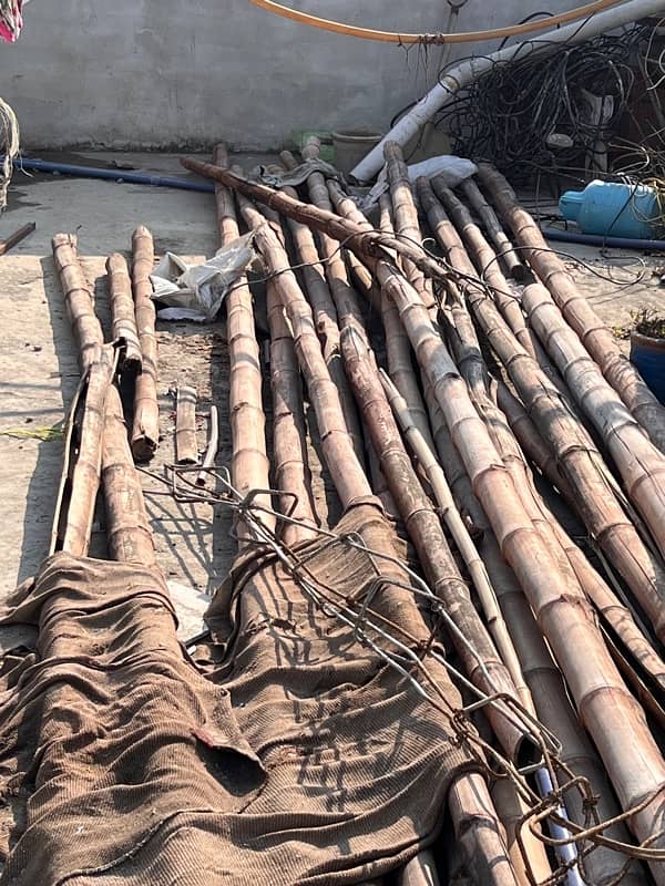 Bamboo for sale 1