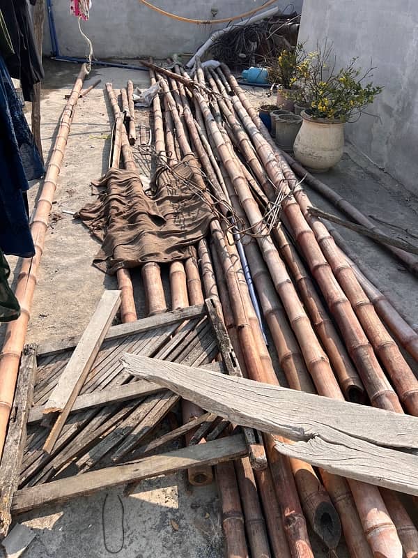 Bamboo for sale 2