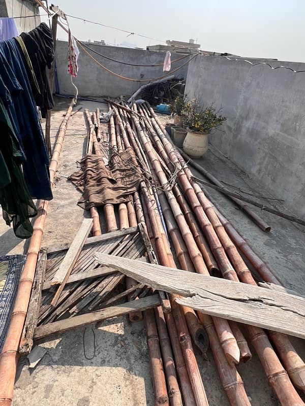 Bamboo for sale 3