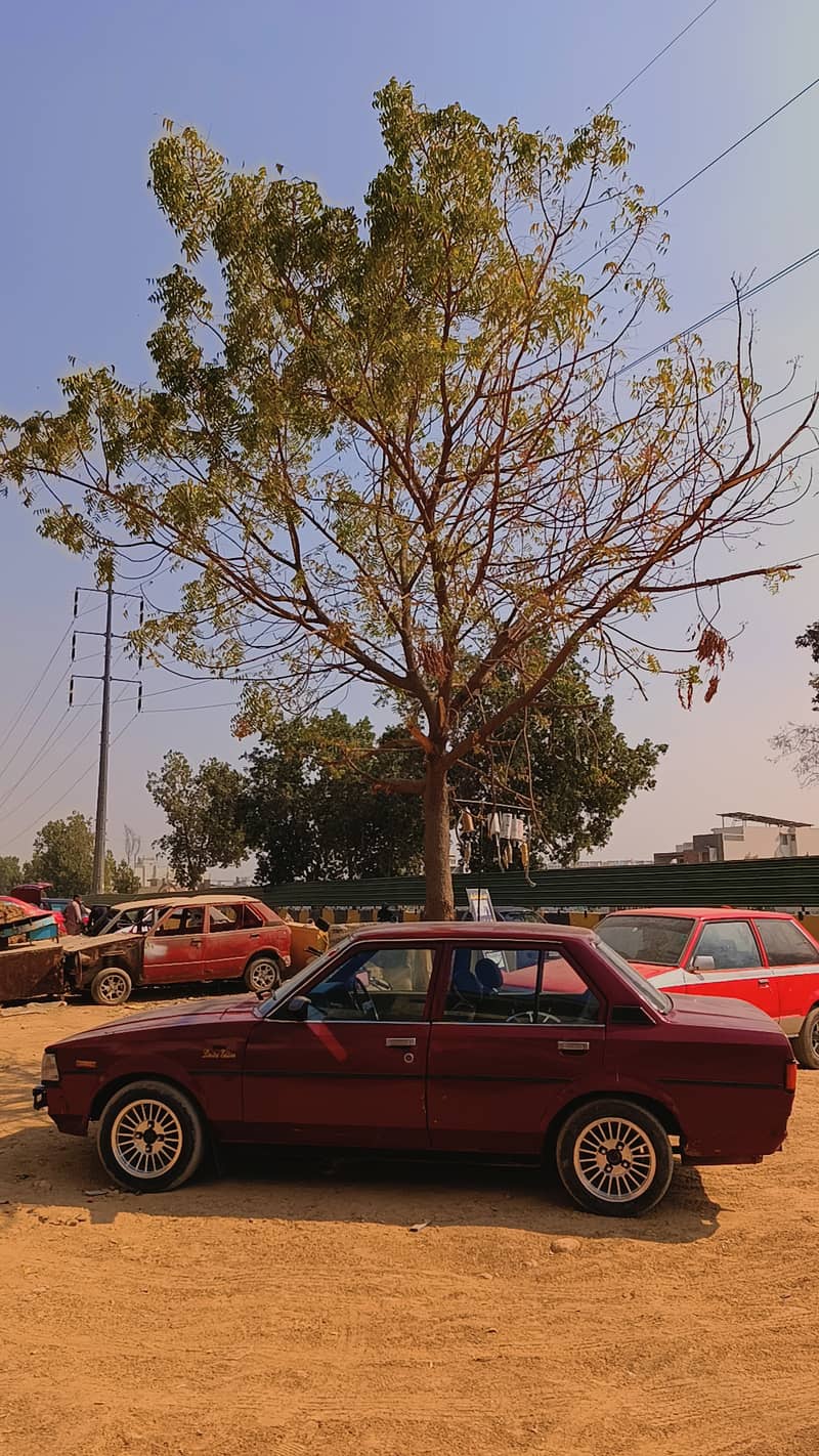 Toyota Corolla 1983 0