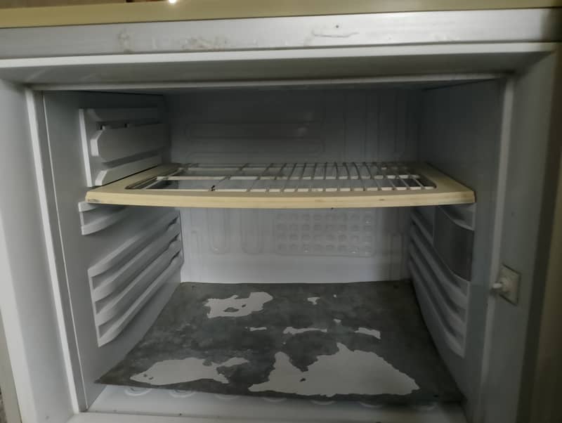 Pel full size fridge 2