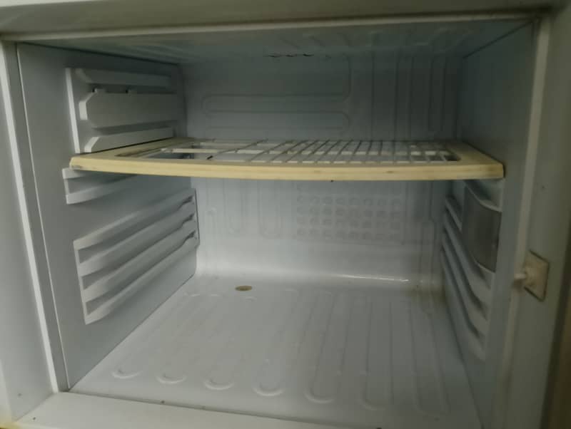 Pel full size fridge 3