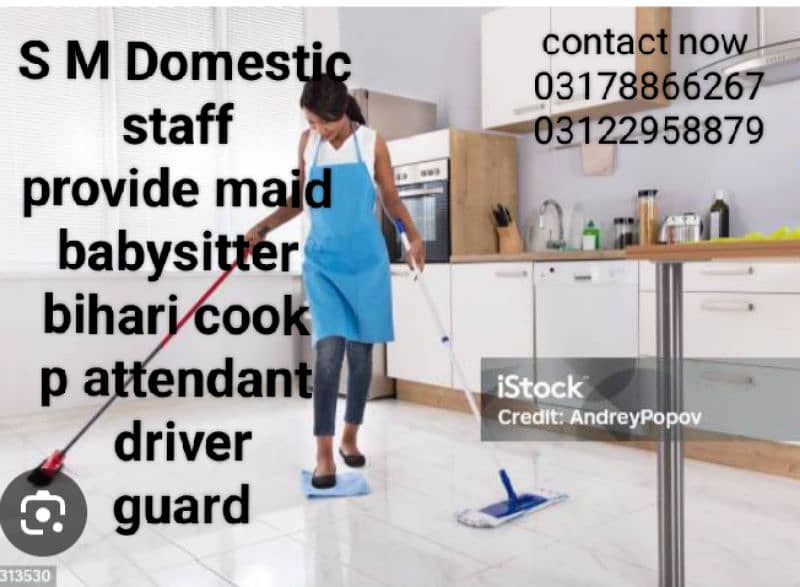 Domestic staff 0