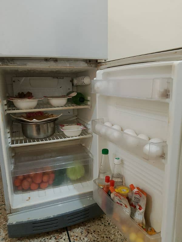 PEL Refrigerator 4