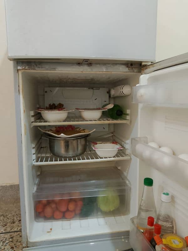 PEL Refrigerator 5