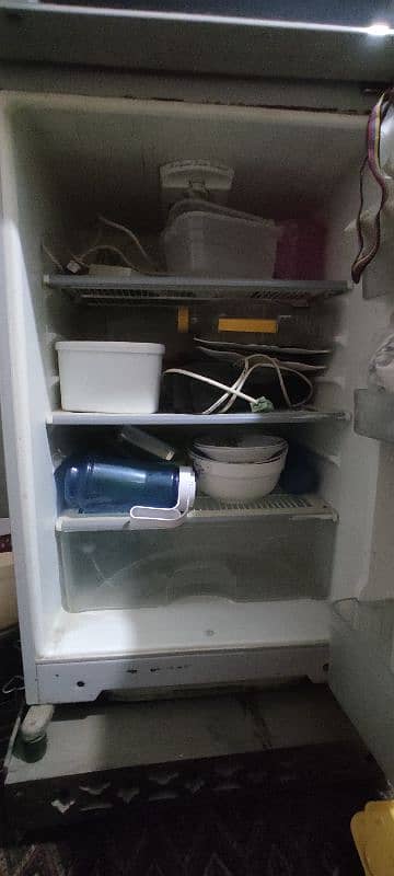 Dowlance Reflects Refrigerator Medium Size 3