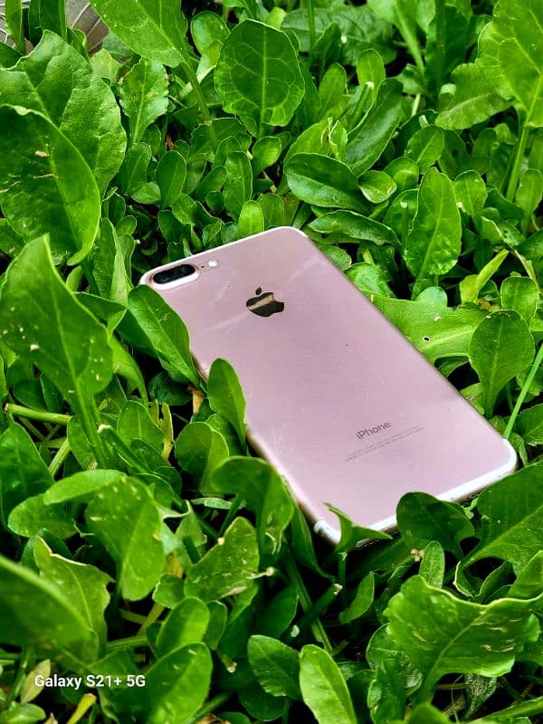 Iphone 7 Plus PTA Approved Mint Condition ( Exchange Possible) 2