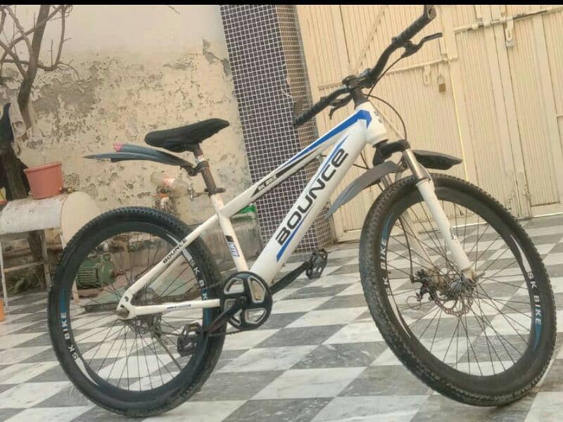 SK BICYCLE FOR SALE 1