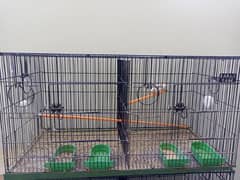 cocktail pair and cage