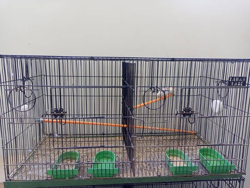 cocktail pair and cage 0