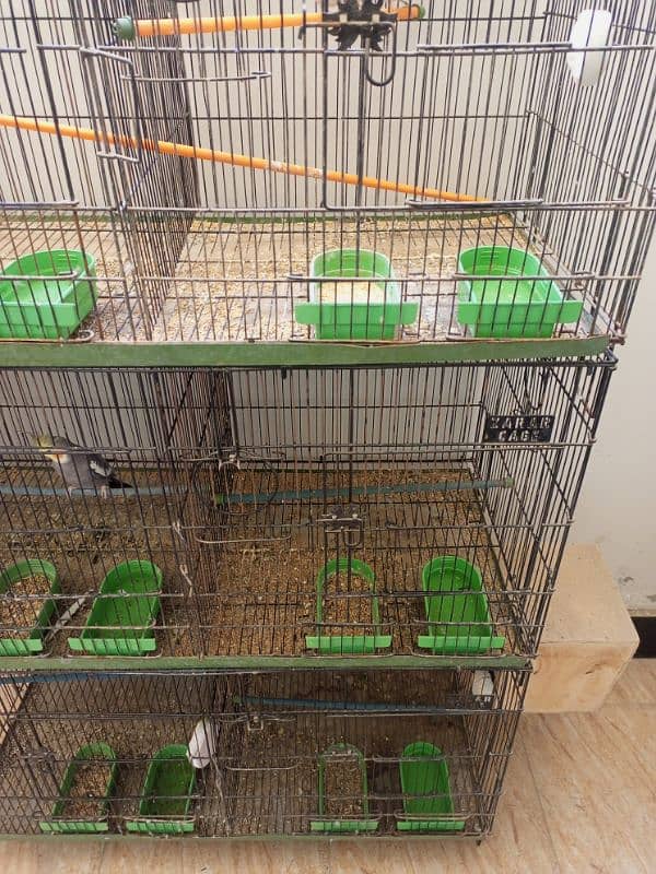 cocktail pair and cage 1