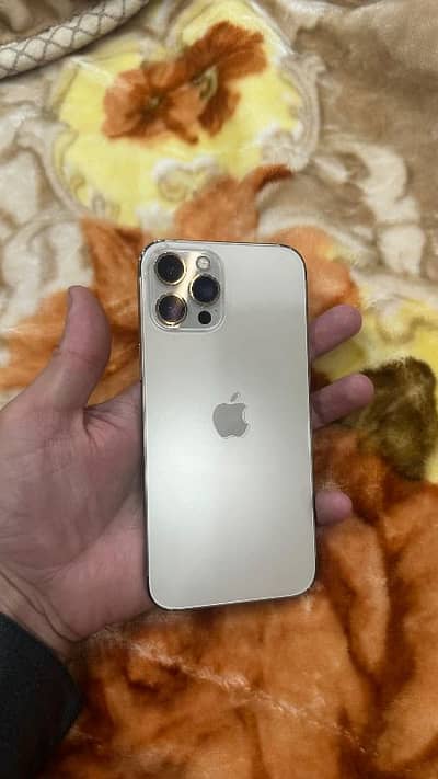 12 pro max PTA approved