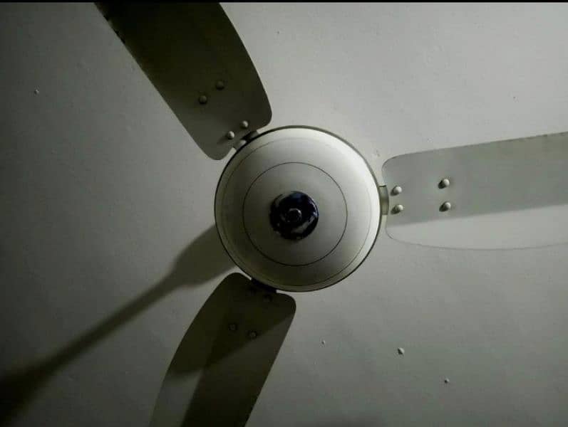 ceiling fan 1