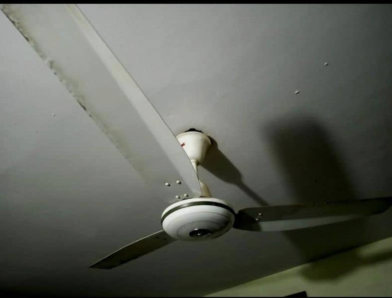 ceiling fan 2