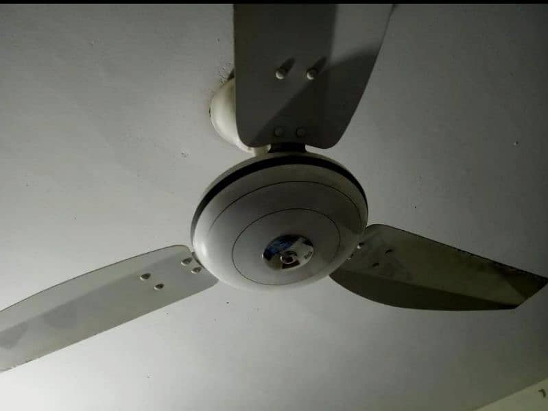 ceiling fan 3