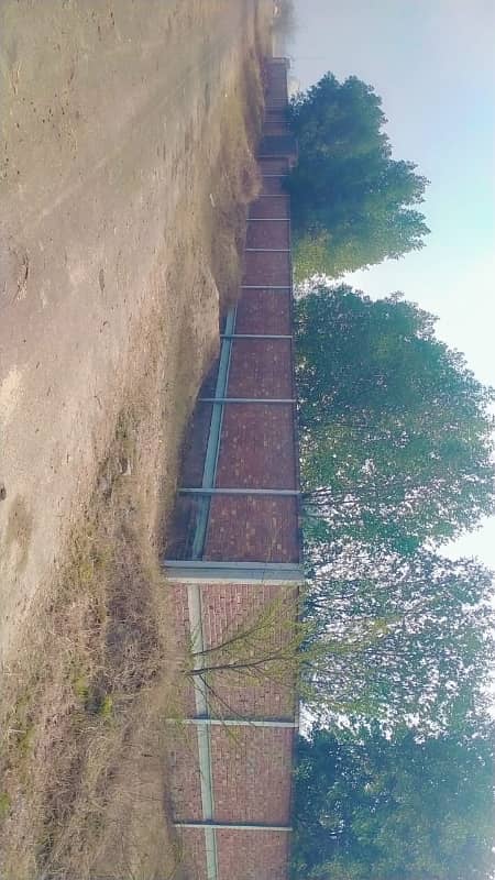 4+4 KANAL PLOT OF FARM HOUSE AVAILABLE FOR SALE 3