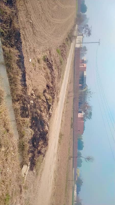 4+4 KANAL PLOT OF FARM HOUSE AVAILABLE FOR SALE 4