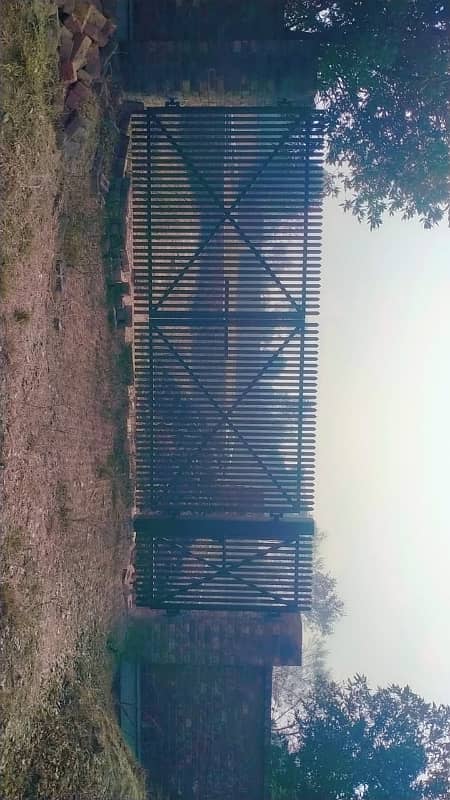 4+4 KANAL PLOT OF FARM HOUSE AVAILABLE FOR SALE 5