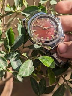 Omax vintage mechanical watch red wine dial