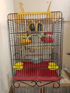 Cage for Parrot