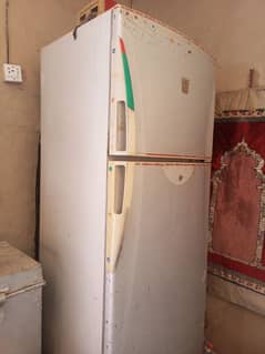 fridge full size for sale