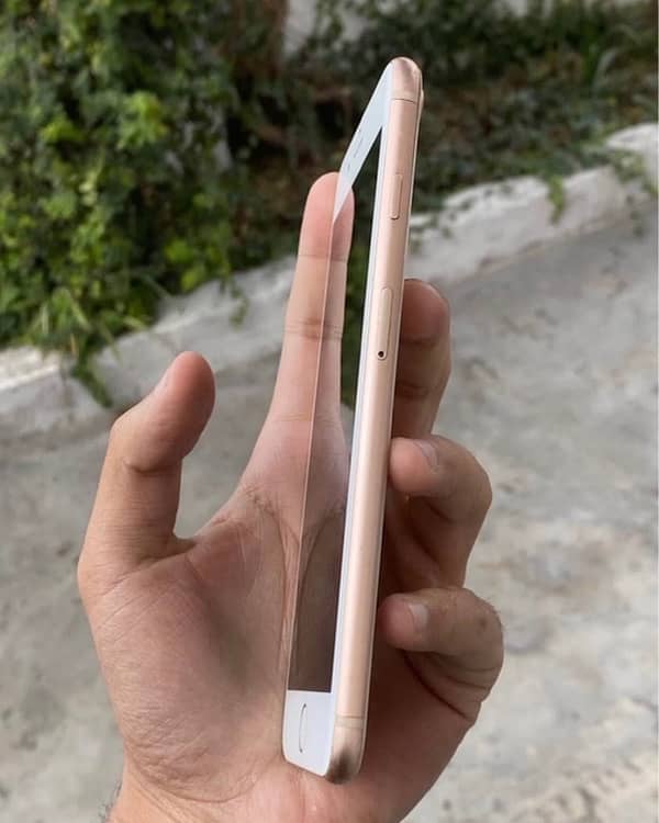 iPhone 8plus PTA APPROVED 3