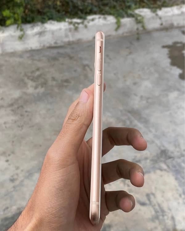 iPhone 8plus PTA APPROVED 4