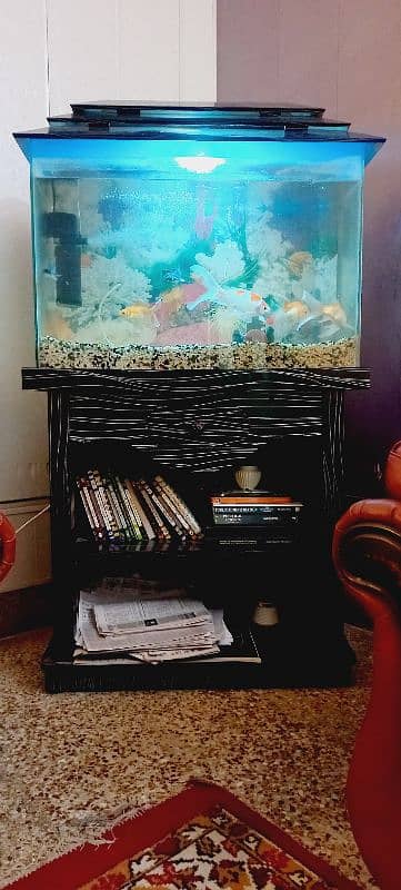 Fish and Aquarium 1