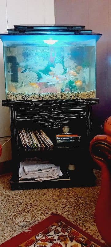 Fish and Aquarium 4