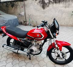 Yamaha YB 125 Z-DX 2025 Model New Bike.