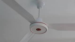 ceiling fan