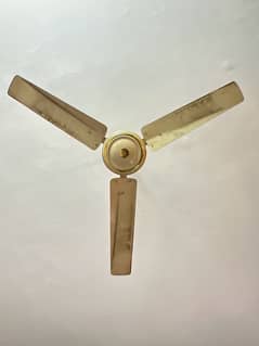 ceiling fan for sale