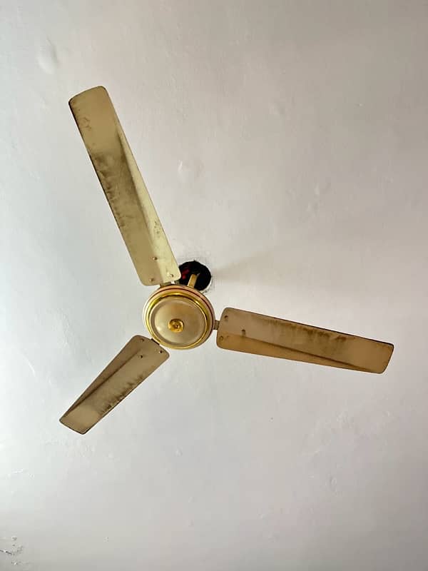 ceiling fan for sale 1