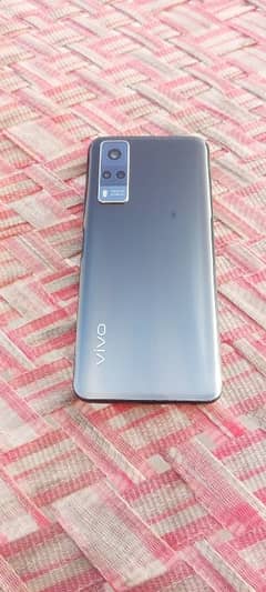 vivo y31