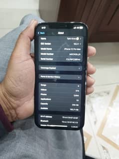 Iphone 12 Pro Max LLA Model 256 GB Factory Unlocked