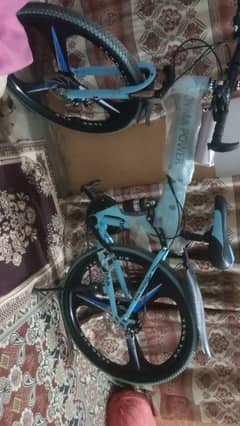 Folding Bicycle