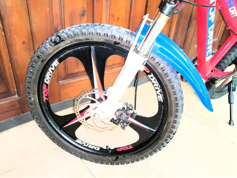 Imported Mountain Bike 2