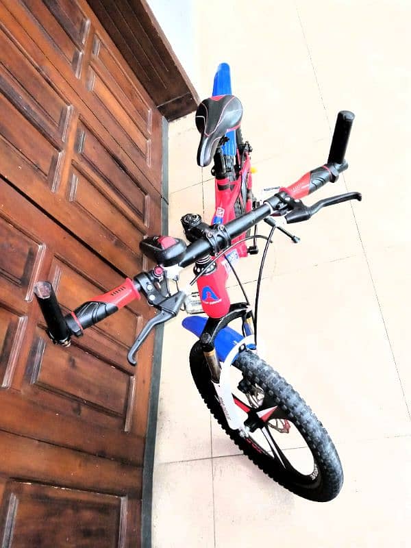 Imported Mountain Bike 3