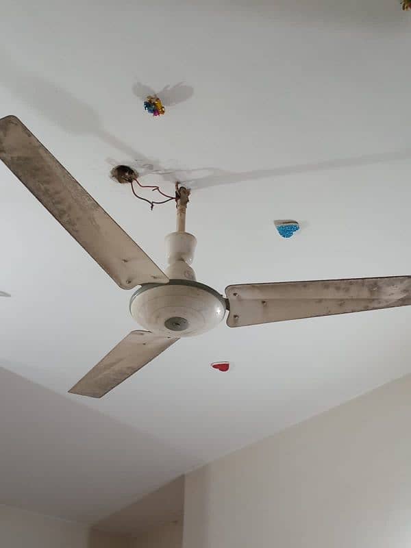 Celling Fan 1