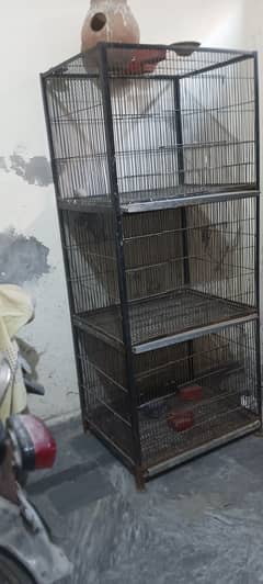 Bird Cage For Sale in Faisalabad | Three Portons