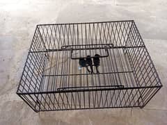 Show cage/Iron Phatki/Travel Cage