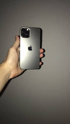 iphone 12 pro max 256 pta approved